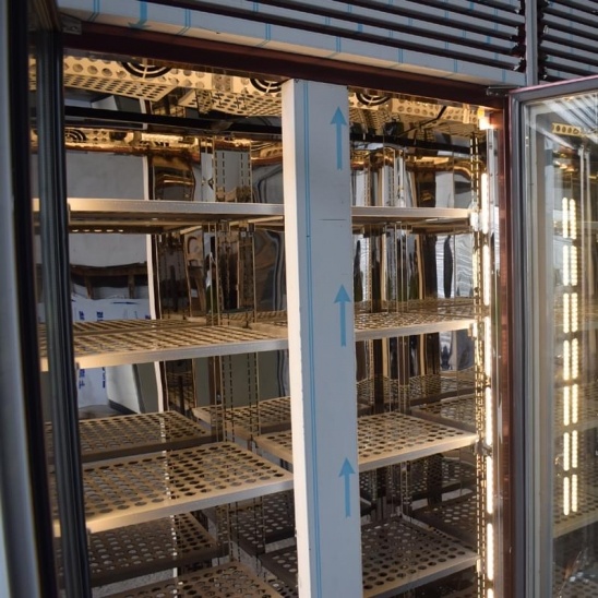 Best sale two doors Rose gold stainless steel  meat drying display freezer 