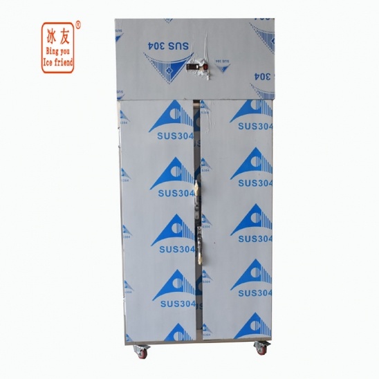 Small two door Restaurant stainless steel Kitchen freezer Equipment 