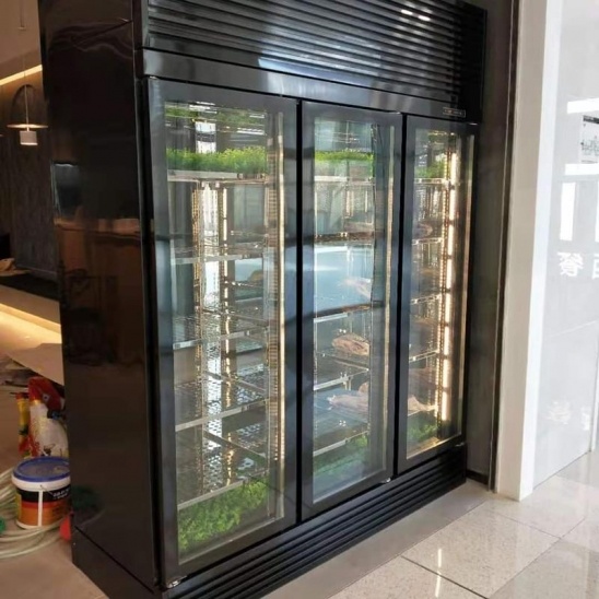 Three glass door black stainless steel  beef display cabinet 