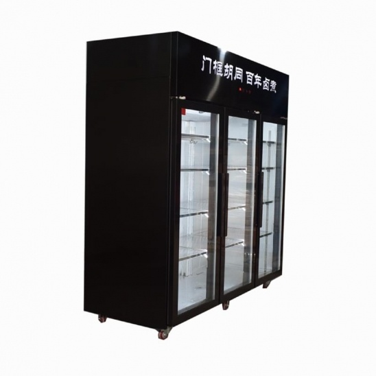 Customized 3 doors stainless steel food preservation display  kitchen freezer 