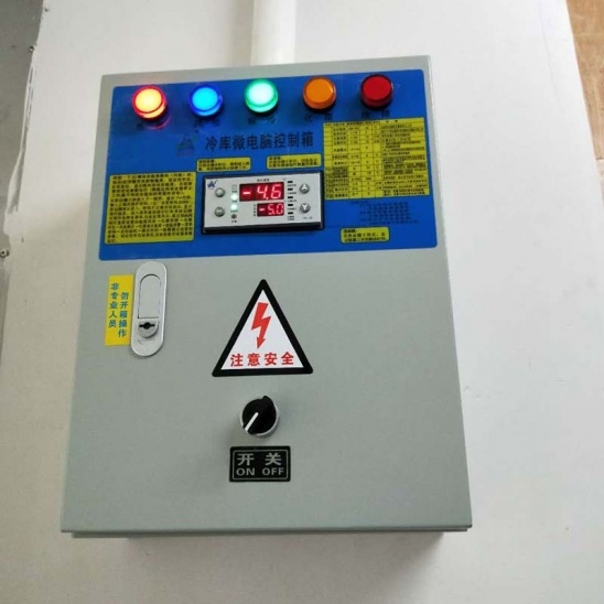 Customized  Simple and small assembled food freezing cold storage 