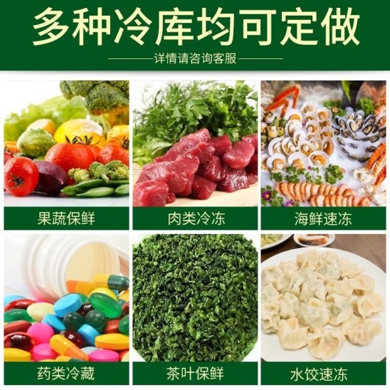 Customized  Simple and small assembled food freezing cold storage 