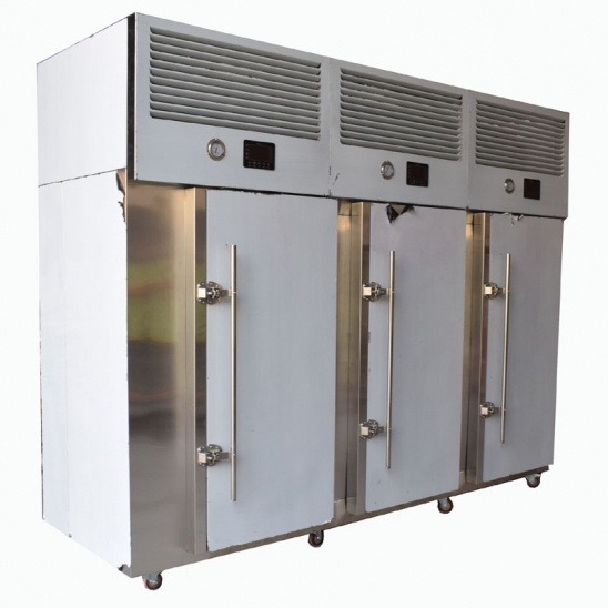 Direct selling Minus 40 degrees stainless steel cart three door  blast freezer 