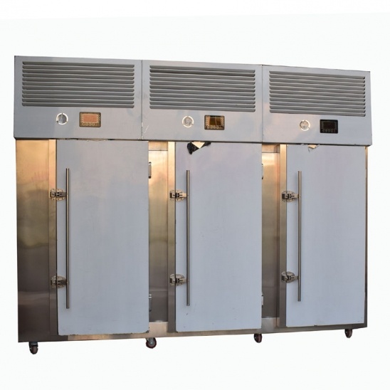 Direct selling Minus 40 degrees stainless steel cart three door  blast freezer 