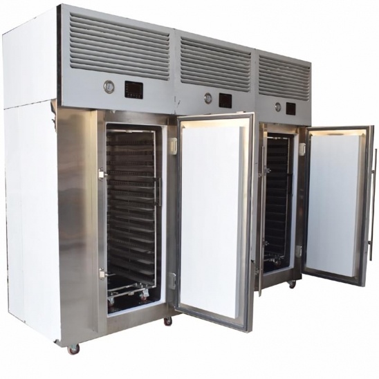 Direct selling Minus 40 degrees stainless steel cart three door  blast freezer 