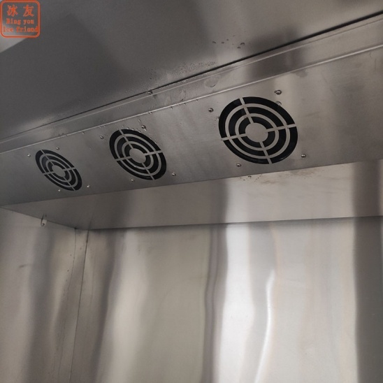 Minus 30 degrees celsius Commercial  air-cooler stainless steel freezing machine 